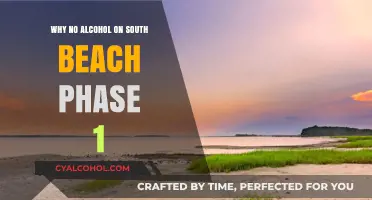 Why South Beach Phase 1 Bans Alcohol: Health and Weight Loss Explained