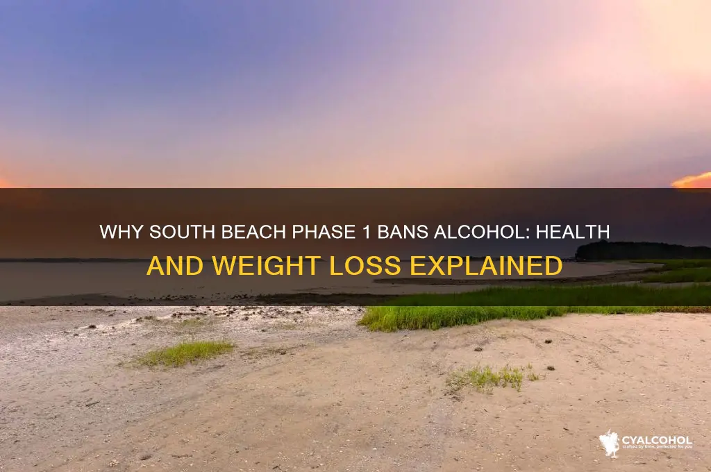 why no alcohol on south beach phase 1
