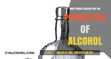 The Rise of Temperance: Why Prohibition Gained Public Support