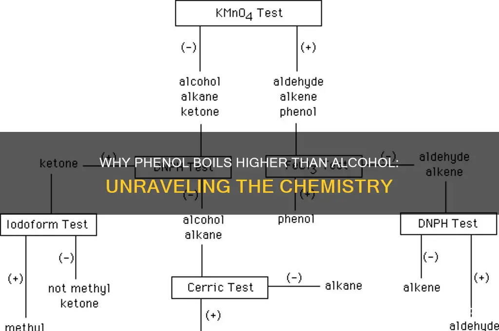 why phenol has higher boiling point than alcohol