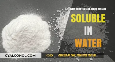 Why Short-Chain Alcohols Dissolve in Water: A Molecular Explanation