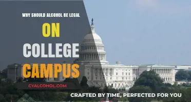 Legalizing Alcohol on Campus: Balancing Freedom, Responsibility, and Student Life