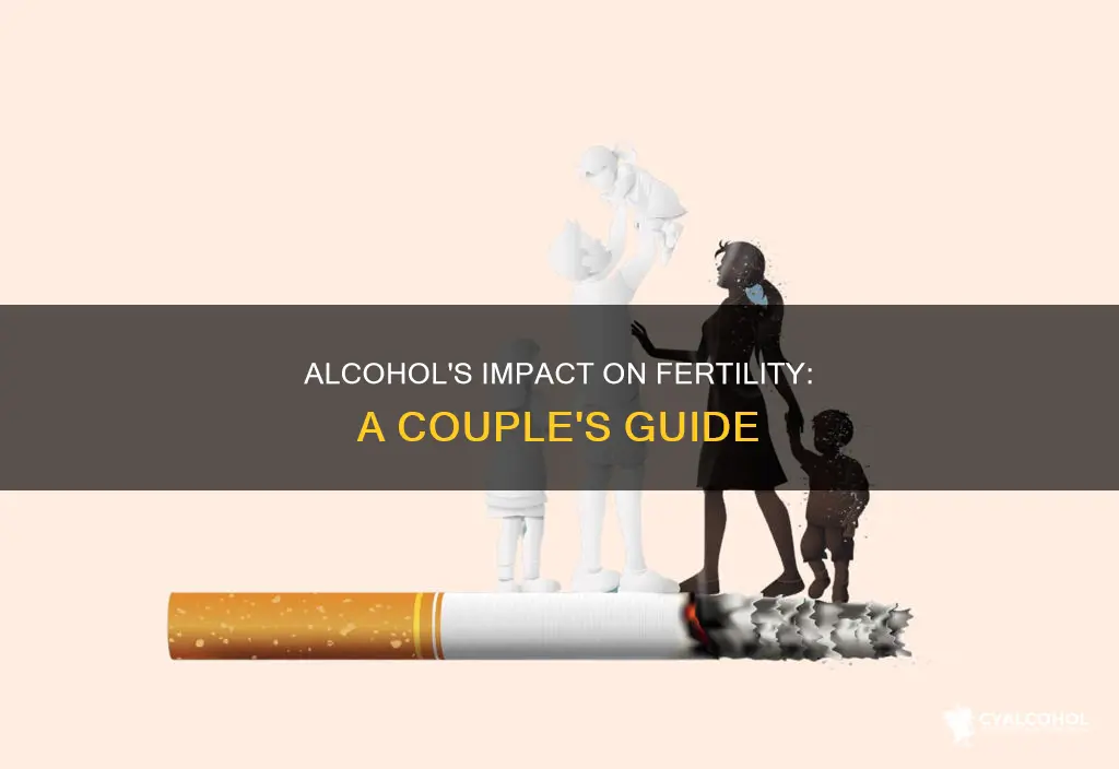 why should couples avoid alcohol when trying to conceive