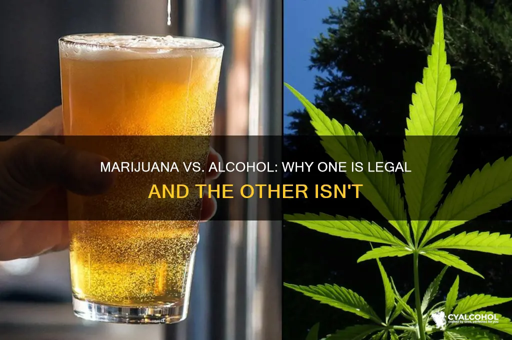 why should marihuana be illagalized but not alcohol