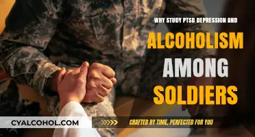 Understanding PTSD, Depression, and Alcoholism in Military Veterans