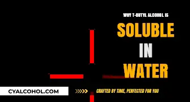 Why T-Butyl Alcohol Mixes Well with Water: Explained