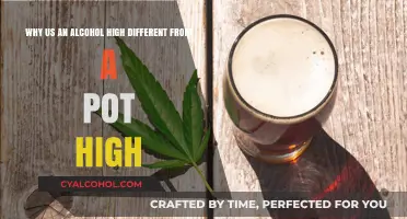 Alcohol vs. Pot: How Do the Highs Differ?