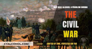 Alcohol's Civil War Impact: A Battle Within
