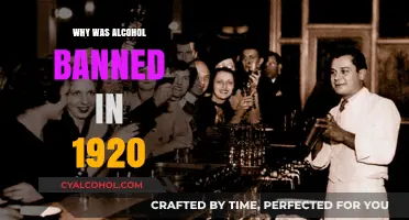 Prohibition's Rise: Why Alcohol Was Banned in 1920 America