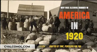 Prohibition's Rise: Why America Banned Alcohol in 1920