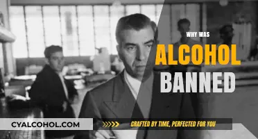 The Prohibition Era: Why Alcohol Was Banned in America