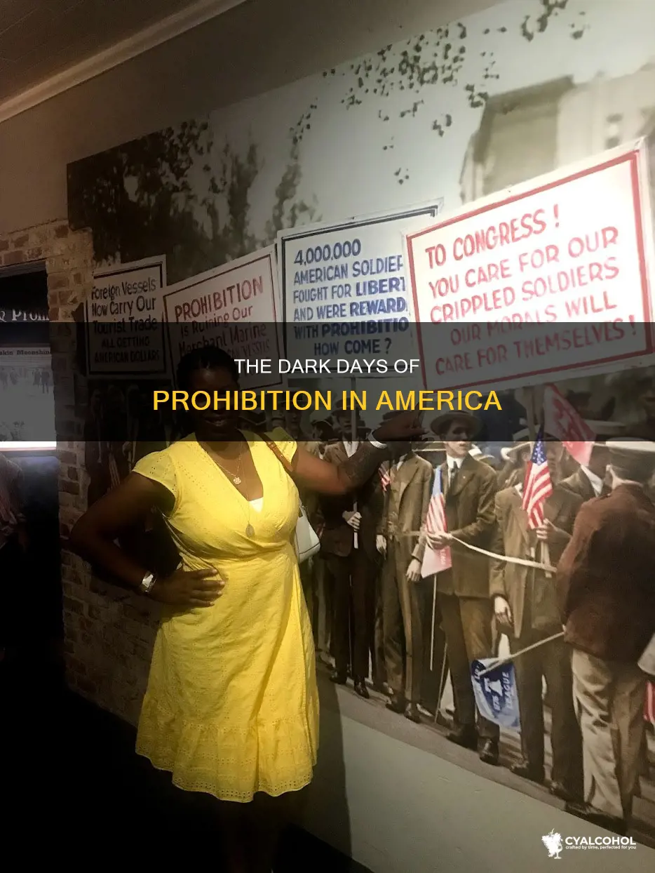 why was alcohol illegal in america during one period
