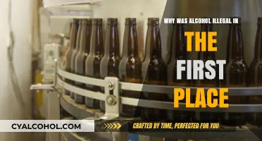 The Surprising Origins of Prohibition: Why Alcohol Was Banned