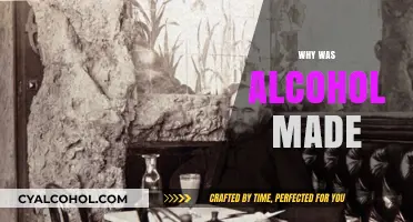 The Origins of Alcohol: A Historical Journey of Fermentation and Culture