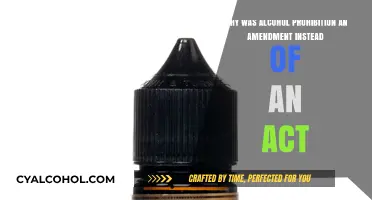 Prohibition's Amendment: Why Not an Act?