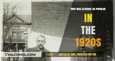 Prohibition's Paradox: The Roaring Twenties' Love Affair with Alcohol