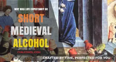 Medieval Alcohol: How It Affected Short Life Expectancy