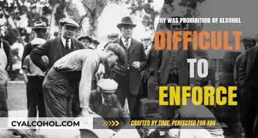 Challenges of Enforcing Prohibition: Why Banning Alcohol Failed in America