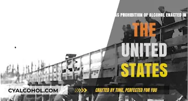 Prohibition: America's Failed Attempt to Ban Alcohol