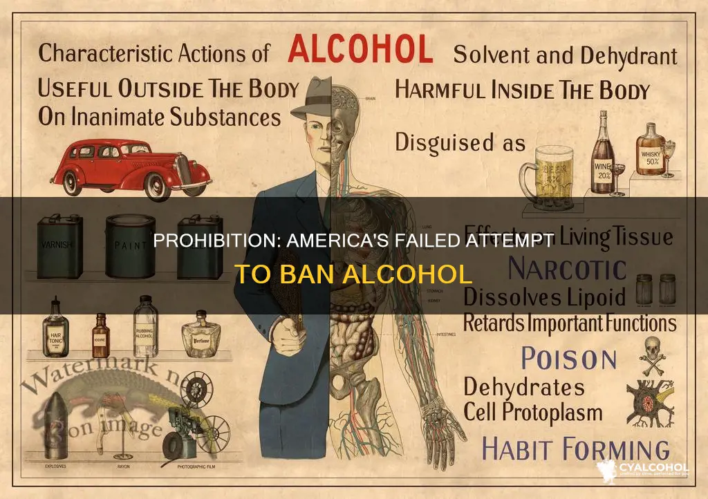why was prohibition of alcohol enacted in the united states
