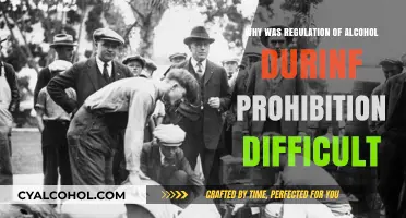 Challenges in Enforcing Prohibition: Why Alcohol Regulation Failed in the 1920s