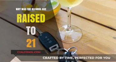 Raising the Alcohol Age to 21: Understanding the Reasons Behind the Change