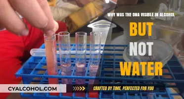 Alcohol's Effect on DNA: A Unique Visibility
