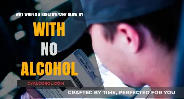 Breathalyzers: False Positives and Alcohol-Free Inaccuracies