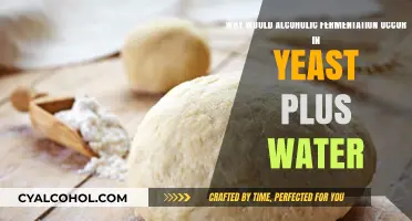 Yeast and Water: Alcohol's Fermentation Mystery