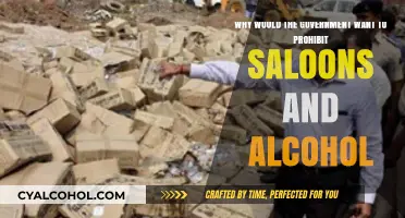 Prohibition: Government's Control Over Saloons and Alcohol