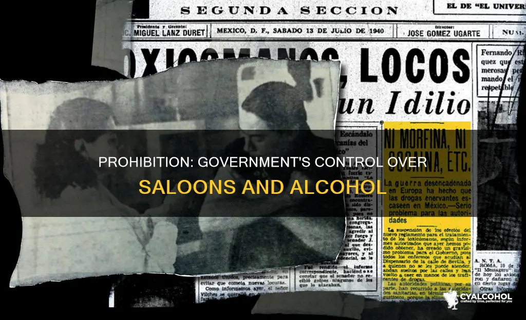 why would the government want to prohibit saloons and alcohol