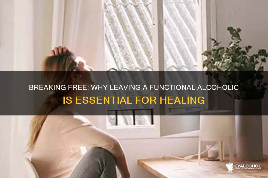why you should always leave a functional alcoholic