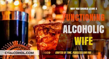 Leaving a Functioning Alcoholic Wife: Prioritizing Your Well-Being and Boundaries