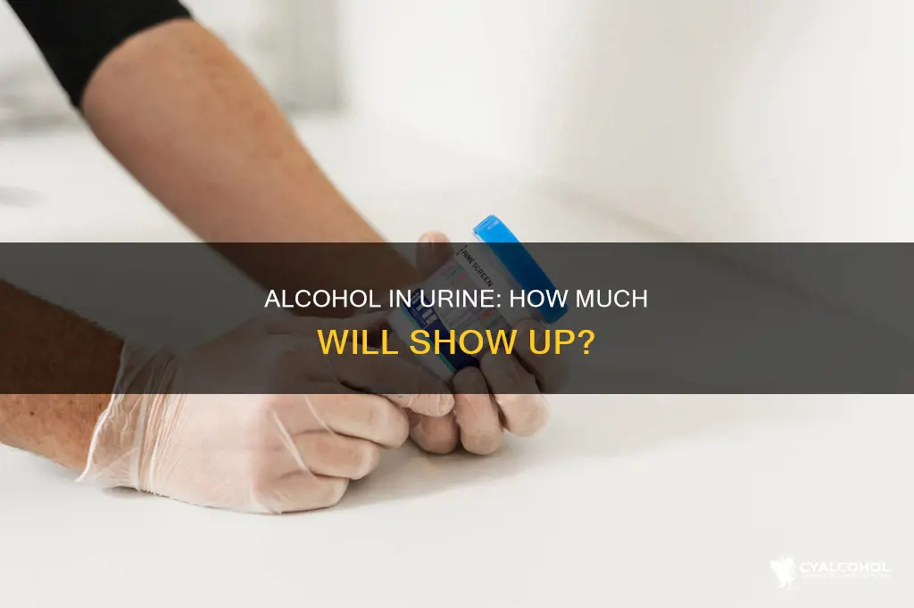 would a tablespoon of alcohol show up in a ua