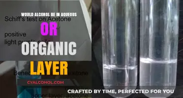 Alcohol's Solubility: Aqueous or Organic Layer Explained