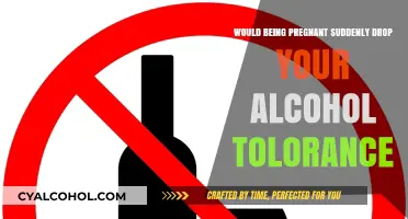 Pregnancy and Alcohol: How Does It Affect Your Tolerance?