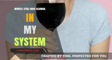How Long Does Alcohol Stay in Your System? A Comprehensive Guide
