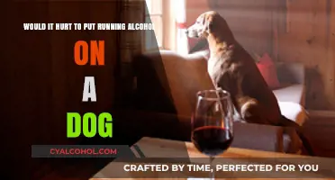 How Safe is Alcohol for Dogs?