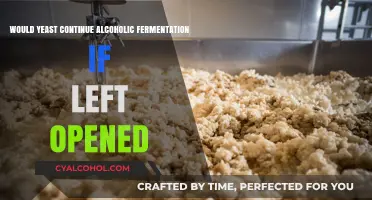 Open Fermentation: Does Yeast Sustain Alcohol Production When Exposed to Air?