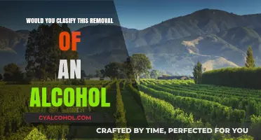 Classifying Alcohol Removal: A Detailed Look at the Process