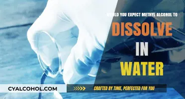How Does Methyl Alcohol React With Water?