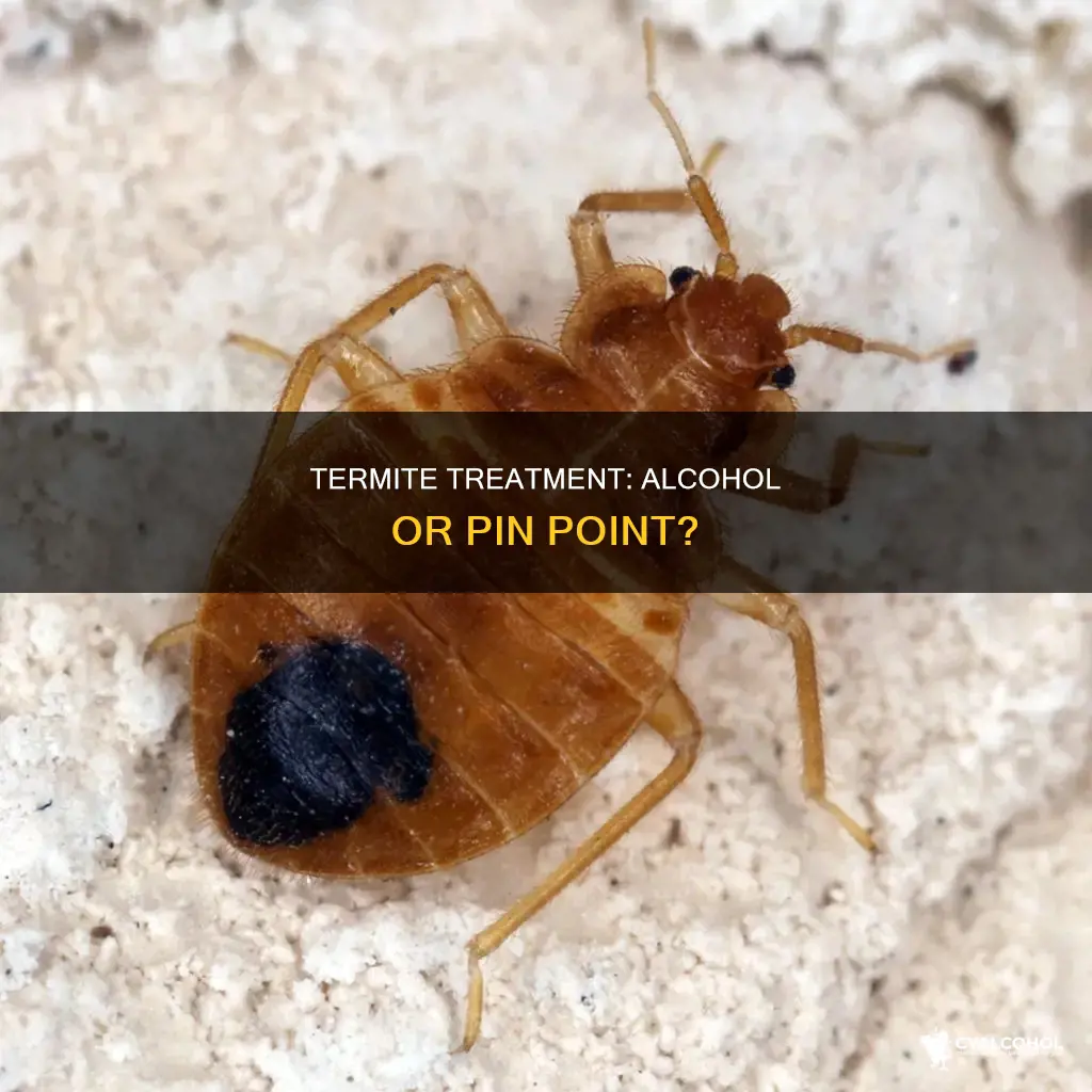 would you pin point or put in alcohol a termite